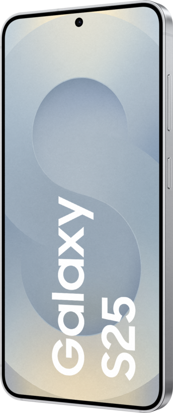 Samsung Galaxy S25 Enterprise Edition