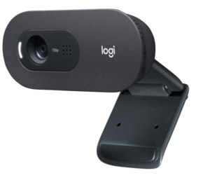 Logitech C505e HD for Business Webcam
