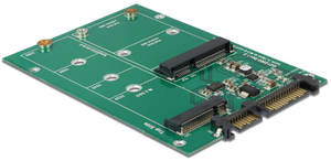 Delock 1x M.2 NGFF 1x mSATA Adapter